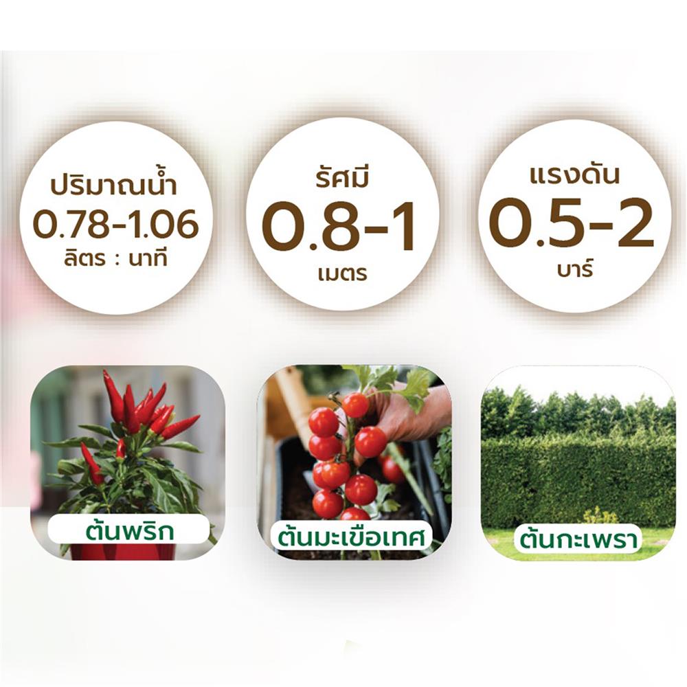 ชุดขาปักรดน้ำ ผักสวนครัวและไม้กระถาง SPRING