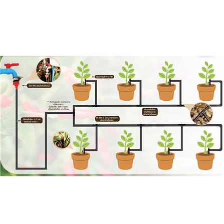 ชุดขาปักรดน้ำ ผักสวนครัวและไม้กระถาง SPRING_3