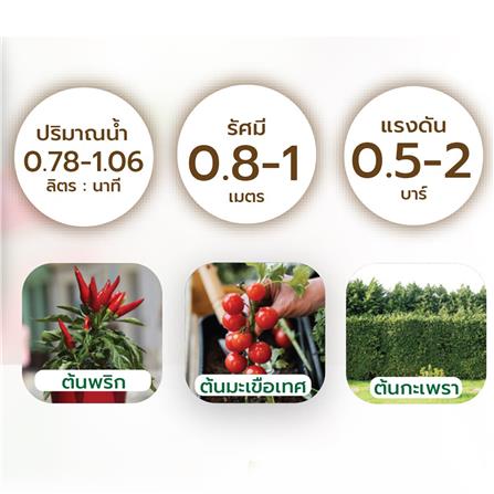 ชุดขาปักรดน้ำ ผักสวนครัวและไม้กระถาง SPRING_4