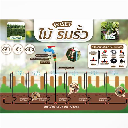 ชุดขาปักรดน้ำ ไม้ริมรั้ว SPRING_2