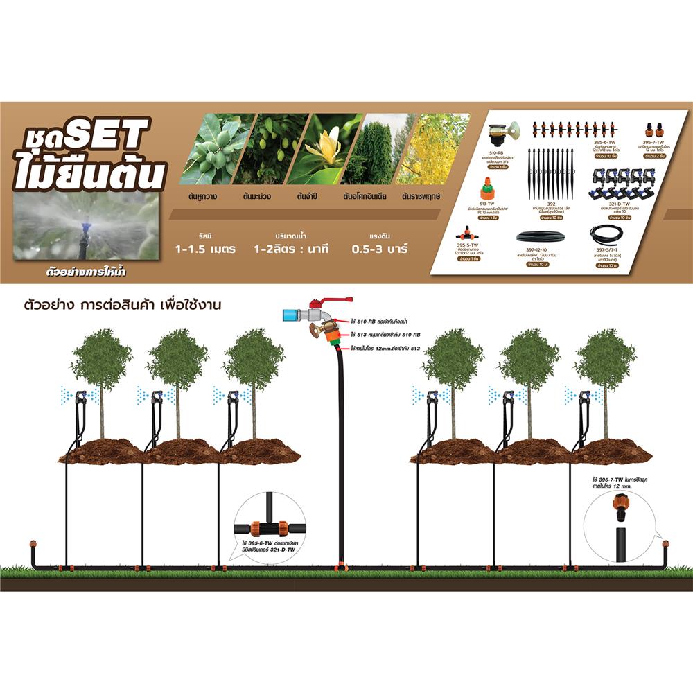 ชุดขาปักรดน้ำ ไม้ยืนต้น SPRING