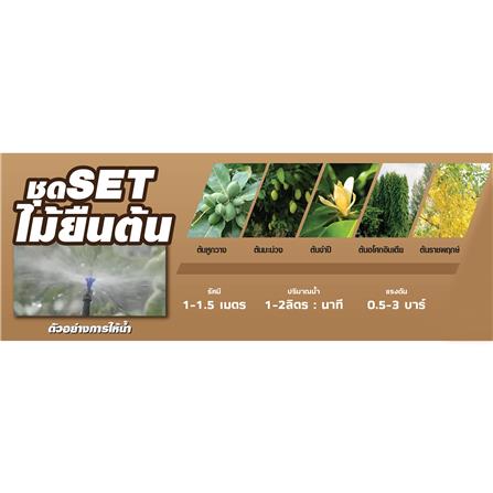 ชุดขาปักรดน้ำ ไม้ยืนต้น SPRING_3