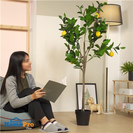 ต้นเลม่อนประดิษฐ์ SPRING 150 ซม._5