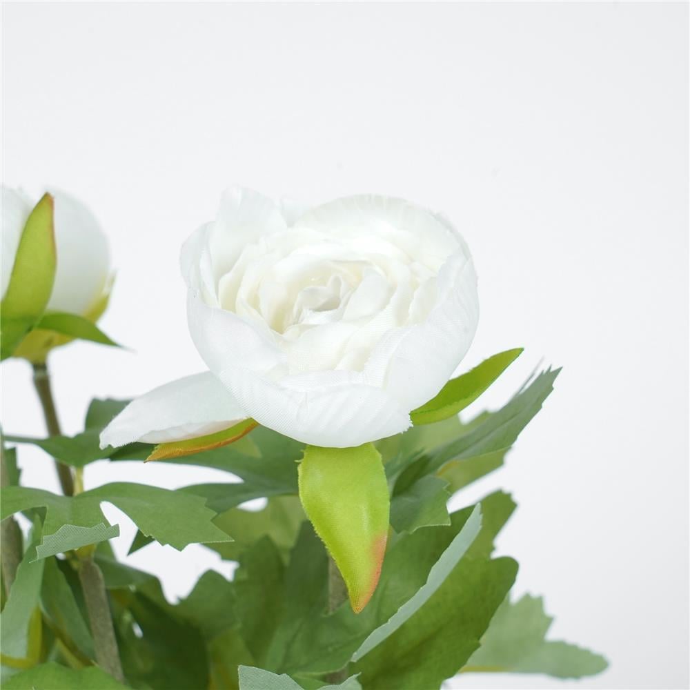 ดอกกุหลาบ SPRING 23 ซม.