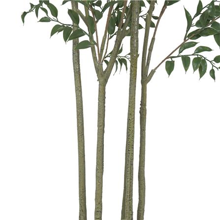 ต้นไทรด่างประดิษฐ์ SPRING 170 ซม._3