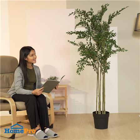 ต้นไทรด่างประดิษฐ์ SPRING 170 ซม._5