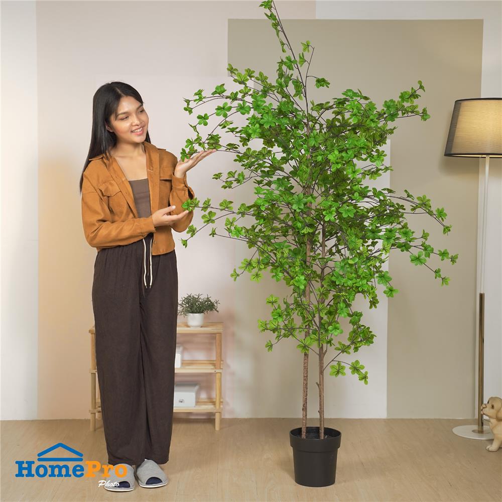 ต้นใบระฆังญี่ปุ่นประดิษฐ์ SPRING 175 ซม.