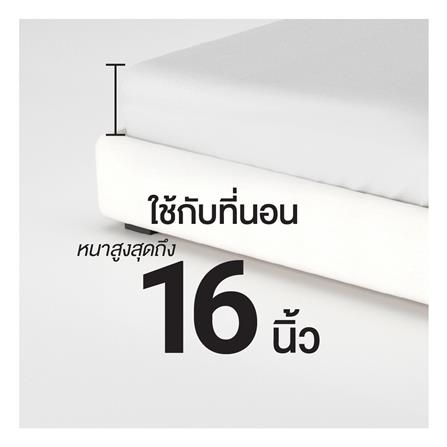 ชุดผ้าปูที่นอน 3.5 ฟุต (ชุด 4 ชิ้น) FROLINA COTTON BREEZE CBSF002_10