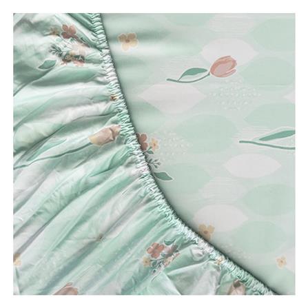 ชุดผ้าปูที่นอน 6 ฟุต (ชุด 5 ชิ้น) STEVENS PURE COTTON CL31_2