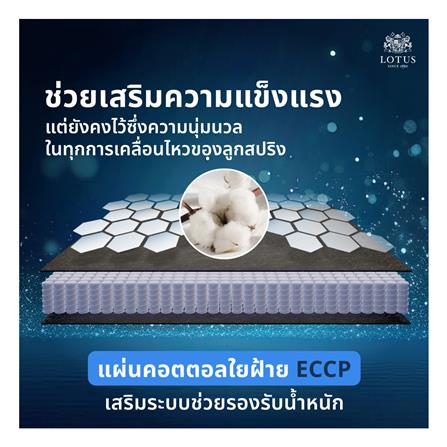 ที่นอน 6 ฟุต LOTUS ASLEEP III (พร้อมหมอนหนุน 2 ใบ)_12