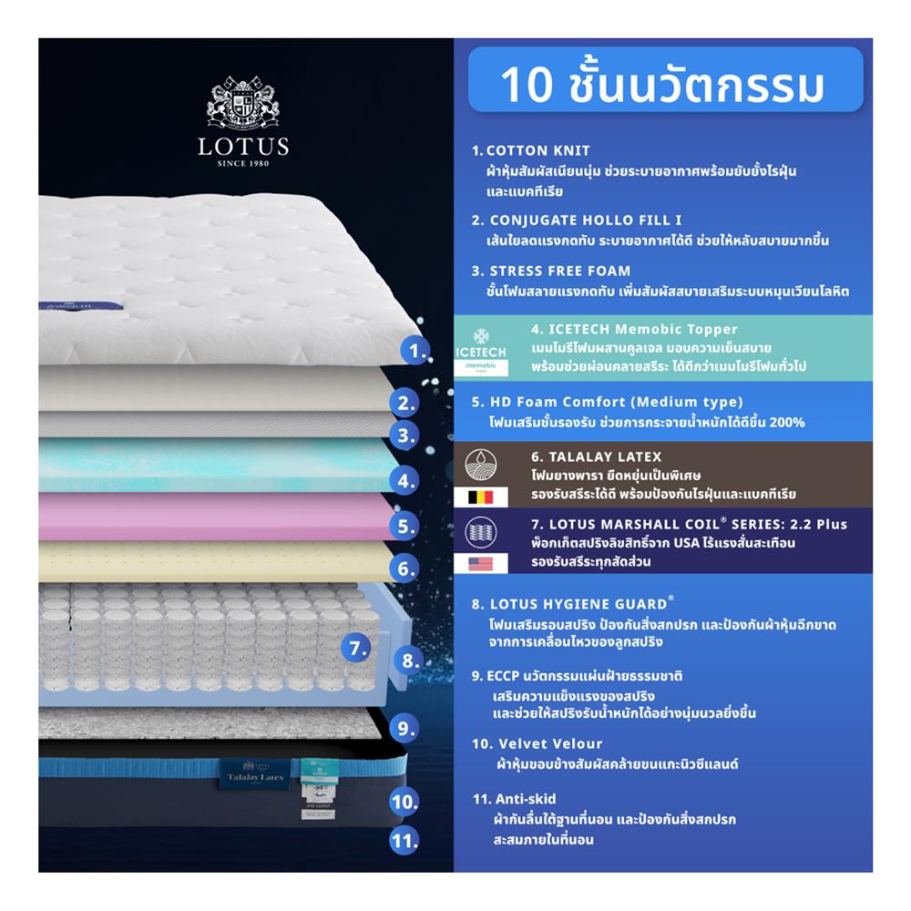 ที่นอน 5 ฟุต LOTUS ASLEEP III (พร้อมหมอนหนุน 2 ใบ)
