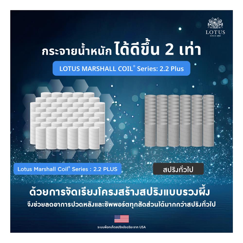 ที่นอน 5 ฟุต LOTUS ASLEEP III (พร้อมหมอนหนุน 2 ใบ)