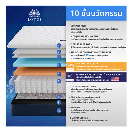 ที่นอน 5 ฟุต LOTUS ASLEEP II (พร้อมหมอนหนุน 2 ใบ)_4