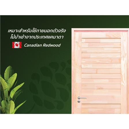 ประตูไม้สนแดง ไม่เจาะลูกบิด D2D SUPER EZERO M 80x180 ซม. สีธรรมชาติ_2