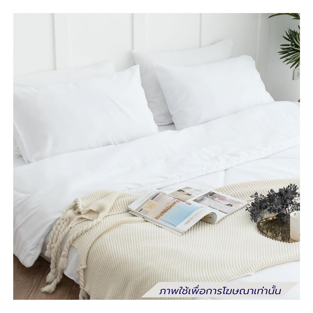 ชุดผ้าปูที่นอน 6 ฟุต (ชุด 6 ชิ้น) SANTA BEDDING สีขาว