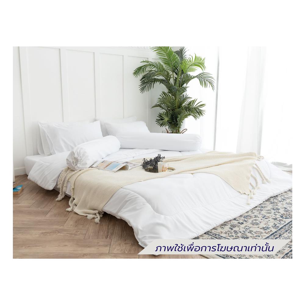 ชุดผ้าปูที่นอน 6 ฟุต (ชุด 6 ชิ้น) SANTA BEDDING สีขาว