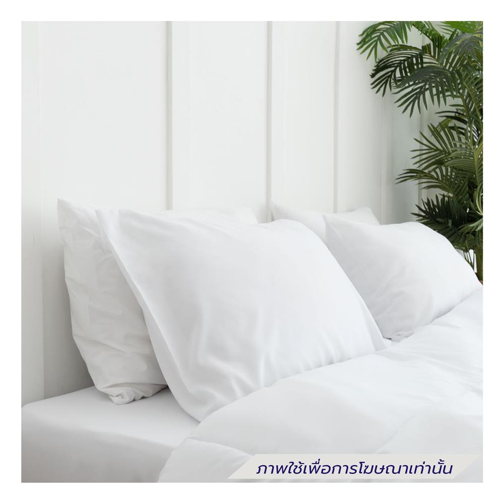ชุดผ้าปูที่นอน 6 ฟุต (ชุด 6 ชิ้น) SANTA BEDDING สีขาว