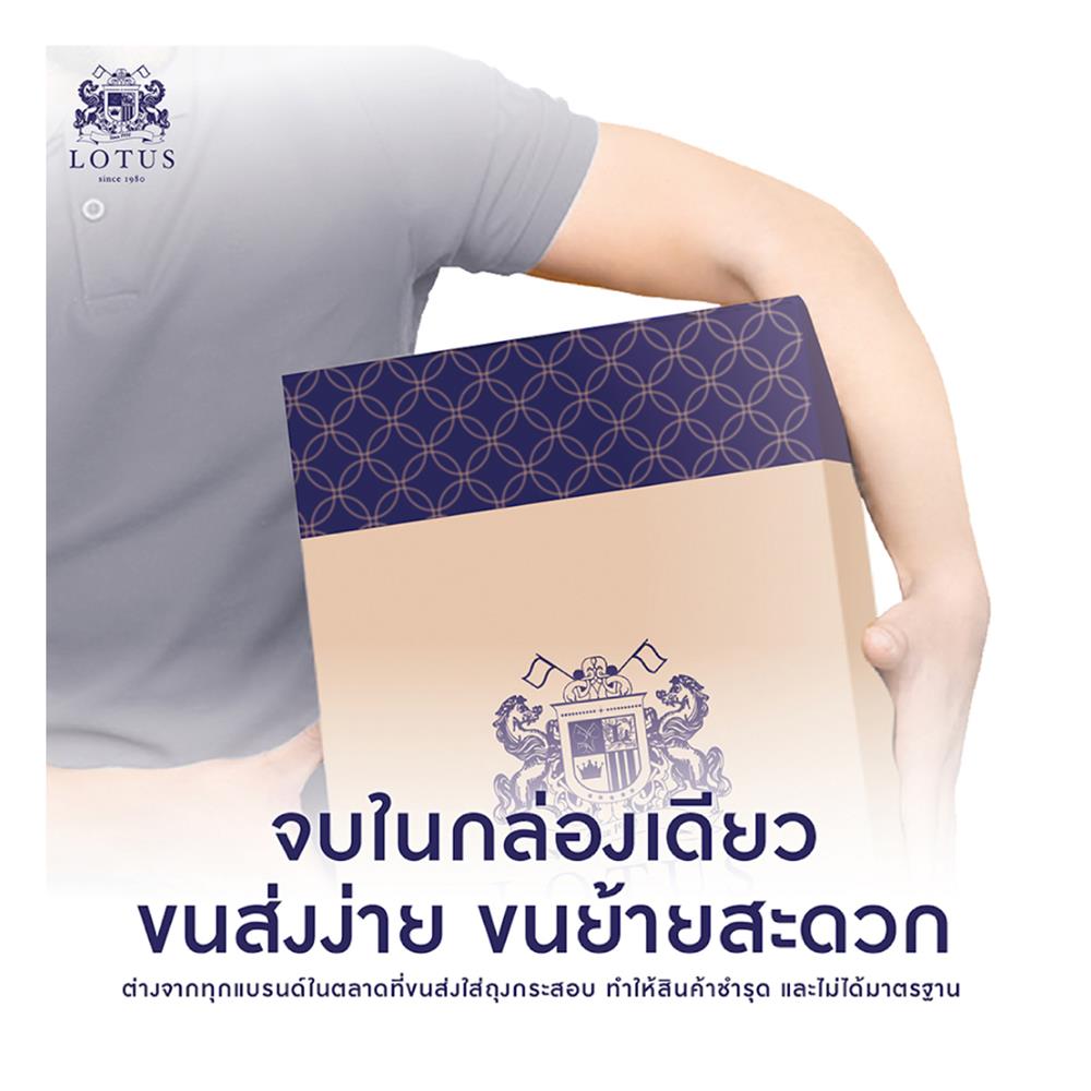 แผ่นรองนอน 3 ฟุต LOTUS FORESTEX II สี LIGHT GRAY