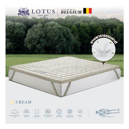 แผ่นรองนอน 6 ฟุต LOTUS FORESTEX II สี CREAM_3