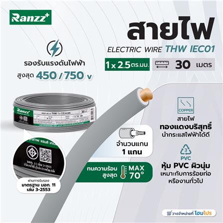 สายไฟ THW IEC01 RANZZ 1x2.5 ตร.มม. 30 ม. สีเทา_3