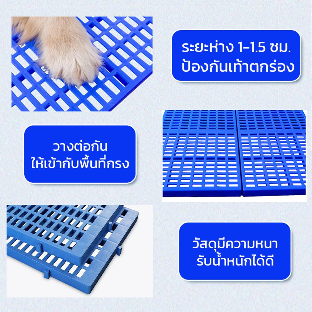แผ่นรองกรง PETUS 48X34 ซม. สีฟ้า