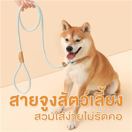 สายจูงสัตว์เลี้ยง PETUS 1.8 เมตร สีฟ้า_1