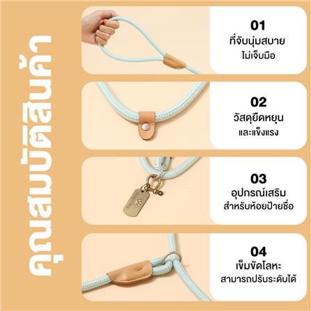 สายจูงสัตว์เลี้ยง PETUS 1.8 เมตร สีฟ้า_5