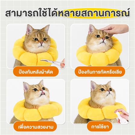 ปลอกคอสัตว์เลี้ยงกันเลีย PETUS รูปทานตะวัน ไซซ์ L สีเหลือง_5