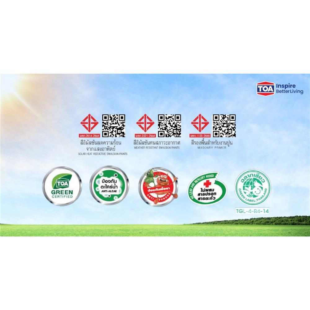 สีน้ำทาภายนอก ชนิดด้าน TOA PRO EXPERT PM100 9 ลิตร