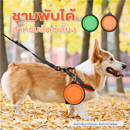 ชามอาหารสัตว์เลี้ยง พับได้ PETUS 13 ซม. สีส้ม_2
