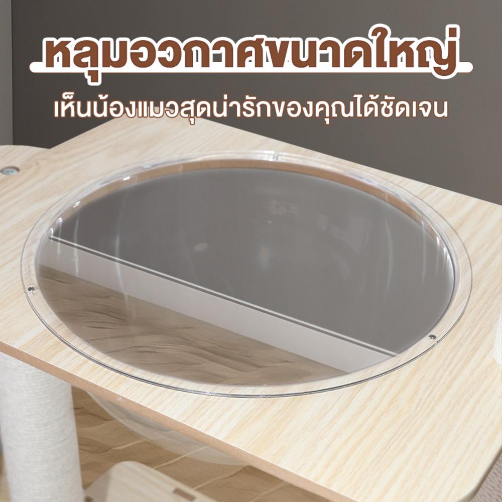 คอนโดแมวไม้ PETUS P101 146X68.5 ซม.