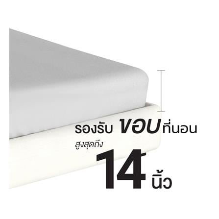 ชุดผ้าปูที่นอน 3.5 ฟุต (ชุด 4 ชิ้น) FROLINA MICROTEX DF066_11