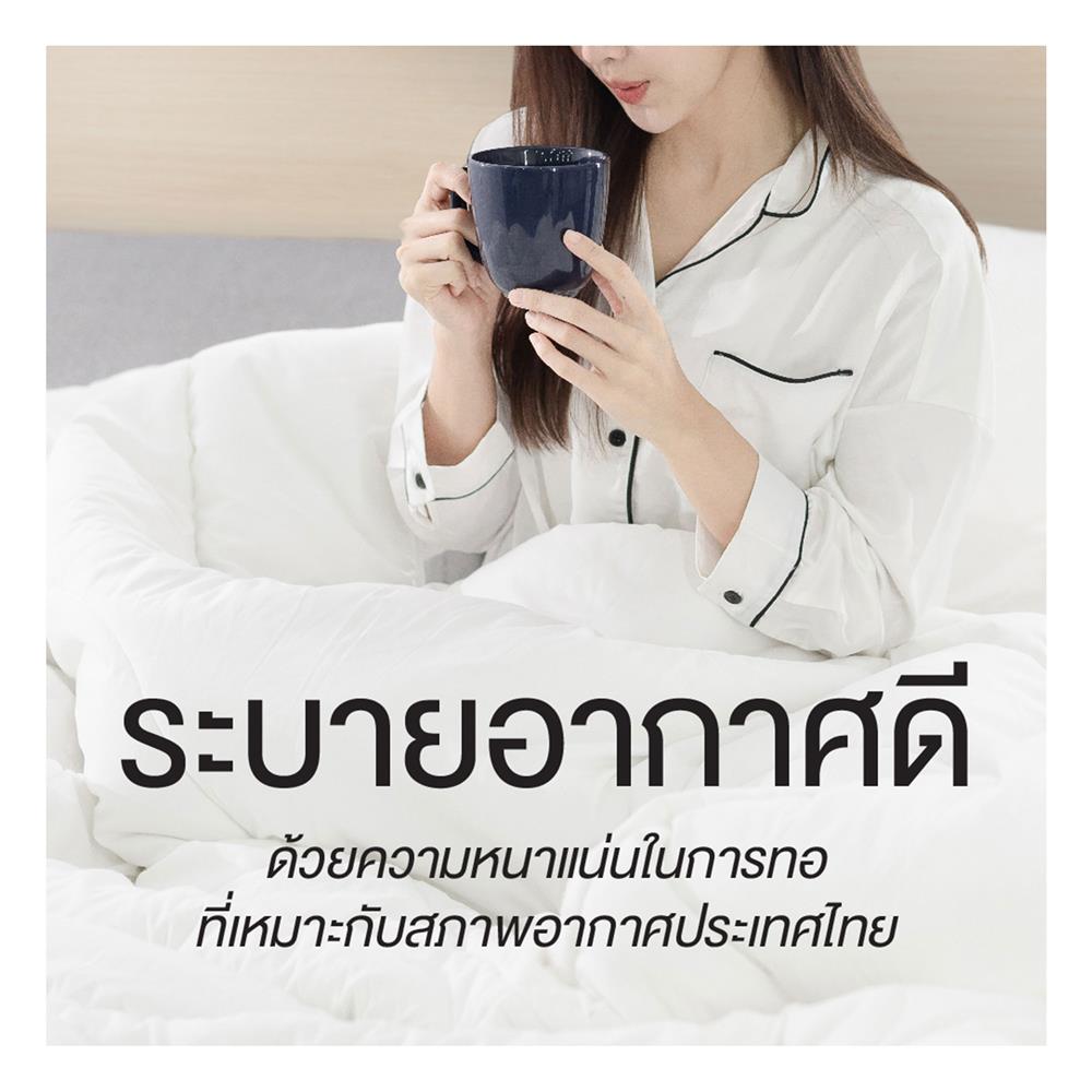 ชุดผ้าปูที่นอน 5 ฟุต (ชุด 6 ชิ้น) FROLINA MICROTEX DF068