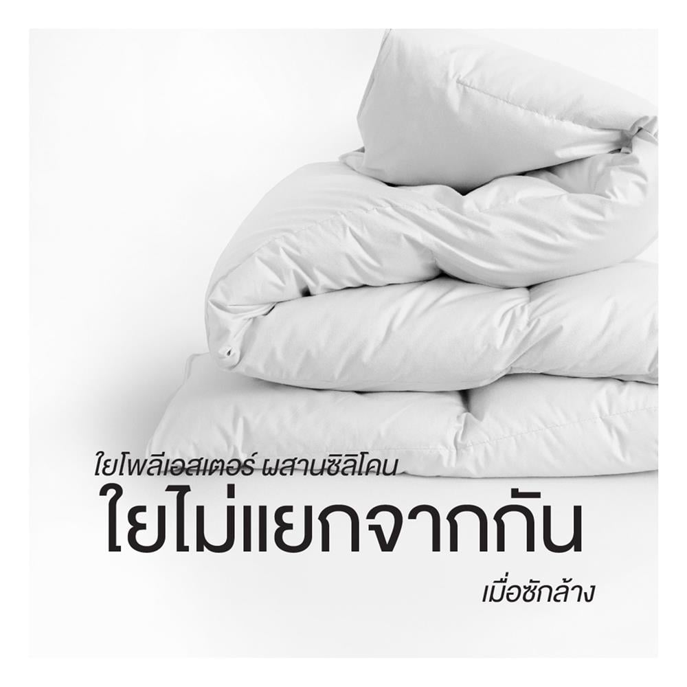 ชุดผ้าปูที่นอน 5 ฟุต (ชุด 6 ชิ้น) FROLINA MICROTEX DF068