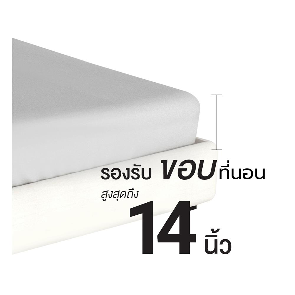 ชุดผ้าปูที่นอน 6 ฟุต (ชุด 6 ชิ้น) FROLINA MICROTEX DF070