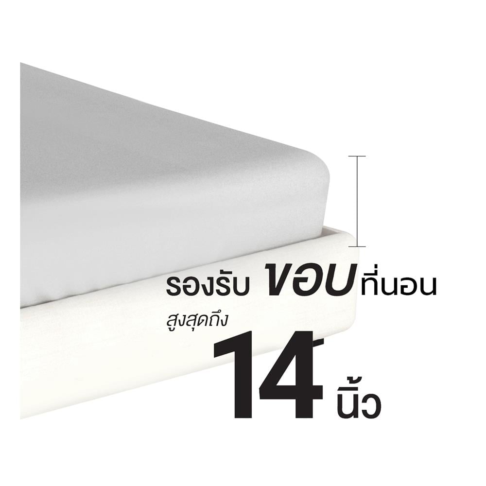 ชุดผ้าปูที่นอน 3.5 ฟุต (ชุด 4 ชิ้น) FROLINA MICROTEX DF068