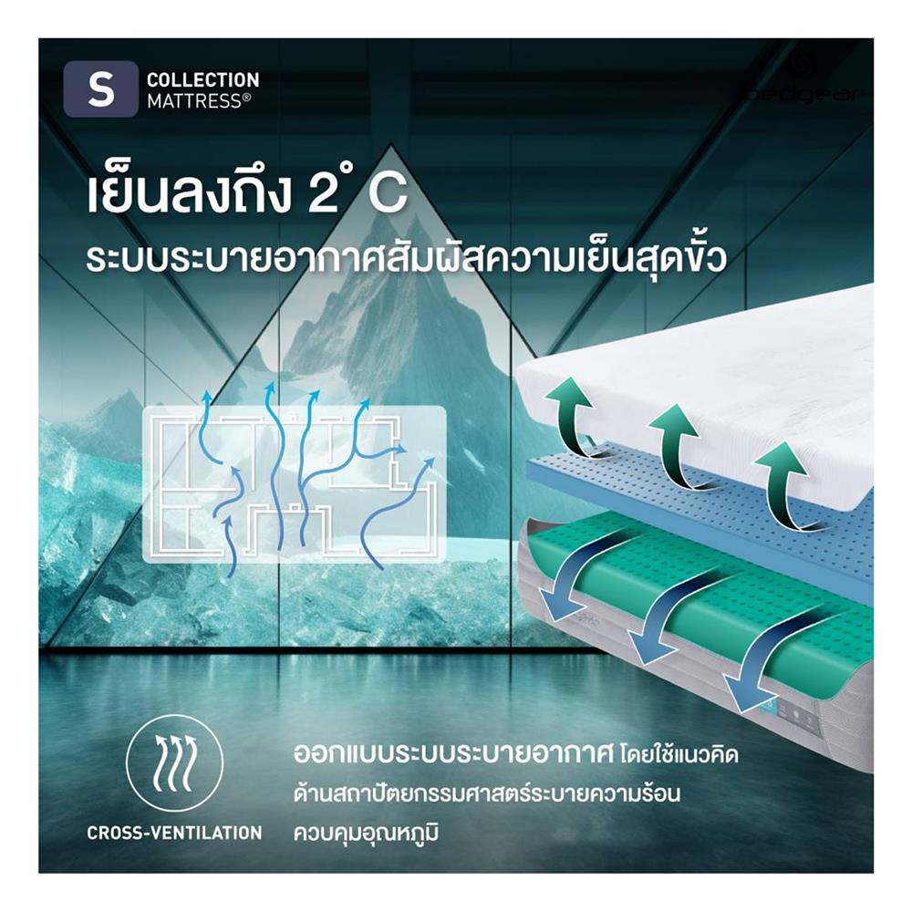 ที่นอน 5 ฟุต BEDGEAR S5 (พร้อมหมอนหนุน 2 ใบ)