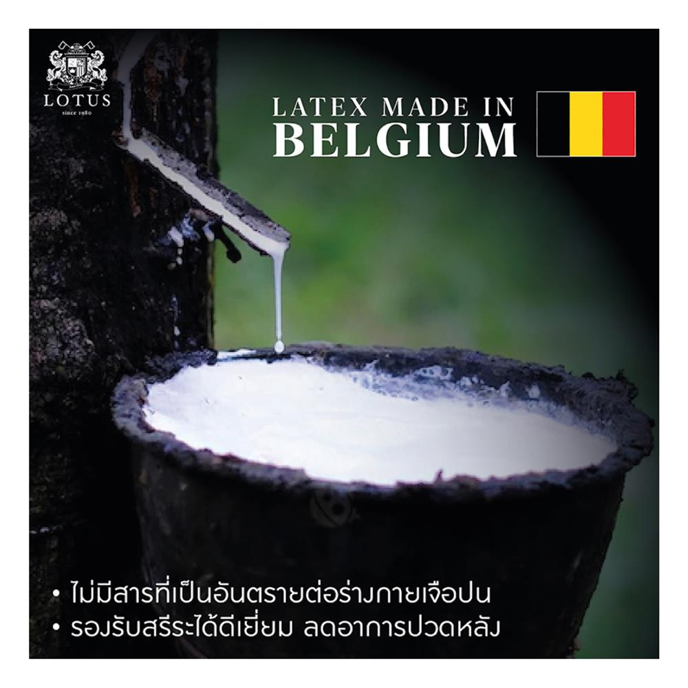 แผ่นรองนอน 3 ฟุต LOTUS FORESTEX III สี DARK BROWN