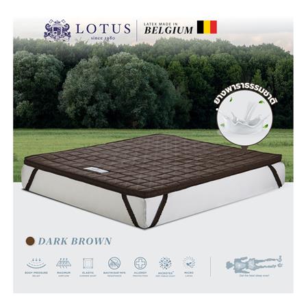แผ่นรองนอน 3 ฟุต LOTUS FORESTEX III สี DARK BROWN_3