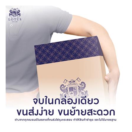 แผ่นรองนอน 3 ฟุต LOTUS FORESTEX III สี DARK BROWN_10