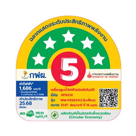ปั๊มน้ำอัตโนมัติ HITACHI WM-P250XX2 250 วัตต์_4