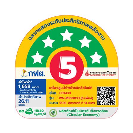 ปั๊มน้ำอัตโนมัติ HITACHI WM-P300XX2 300 วัตต์_4