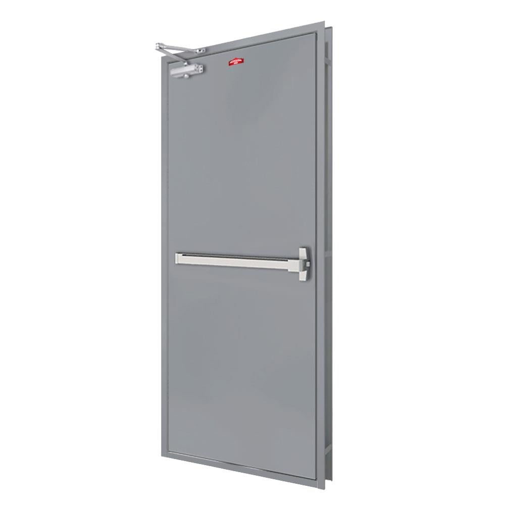 ชุดประตูเหล็กทนไฟ PROFESSIONAL DOOR FFD2G 96.4x204.8 ซม. สีเทา