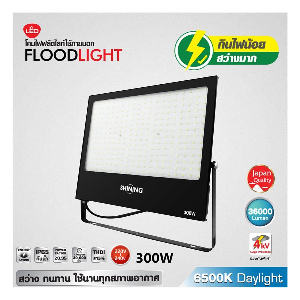 สปอตไลท์ภายนอก LED SHINING S-FD30065B-2 300 วัตต์ DAYLIGHT