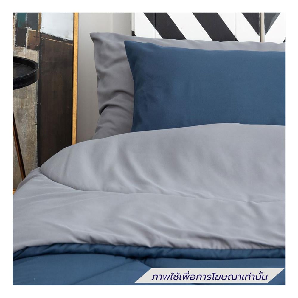 ชุดผ้าปูที่นอน 6 ฟุต (ชุด 6 ชิ้น) SANTA BEDDING สี DARK GREY/NAVY BLUE