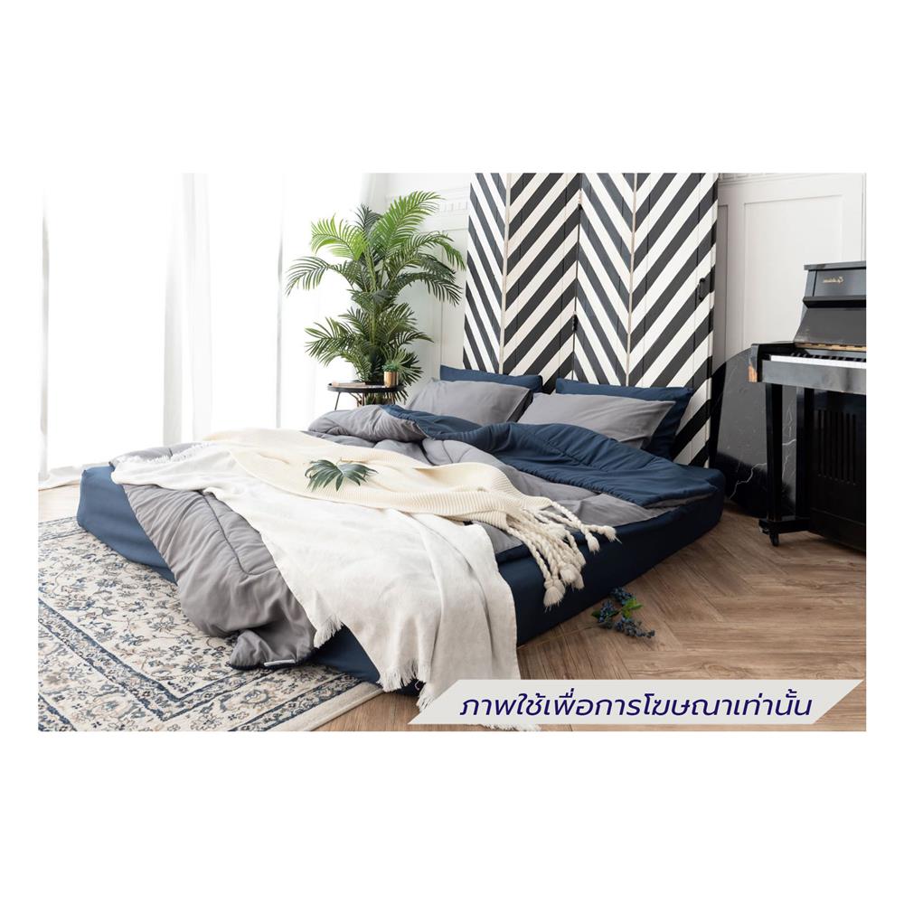 ชุดผ้าปูที่นอน 6 ฟุต (ชุด 6 ชิ้น) SANTA BEDDING สี NAVY BLUE/DARK GREY