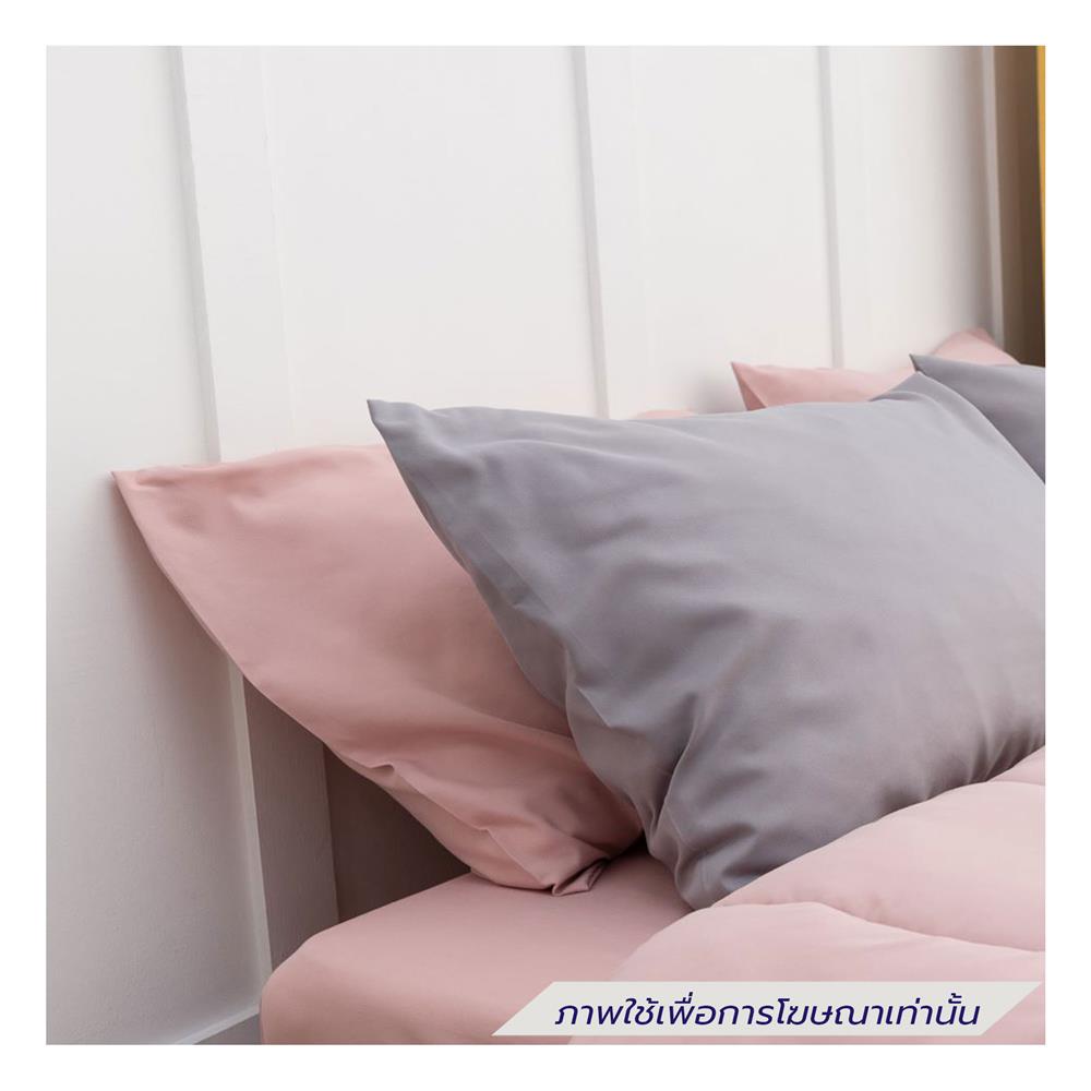 ชุดผ้าปูที่นอน 6 ฟุต (ชุด 6 ชิ้น) SANTA BEDDING สี PINK/LIGHT GREY