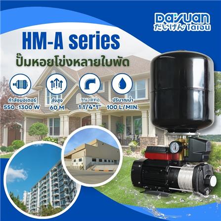 ปั๊มน้ำอัตโนมัติ DAYUAN PUMP HM4-6A 1000 วัตต์_3