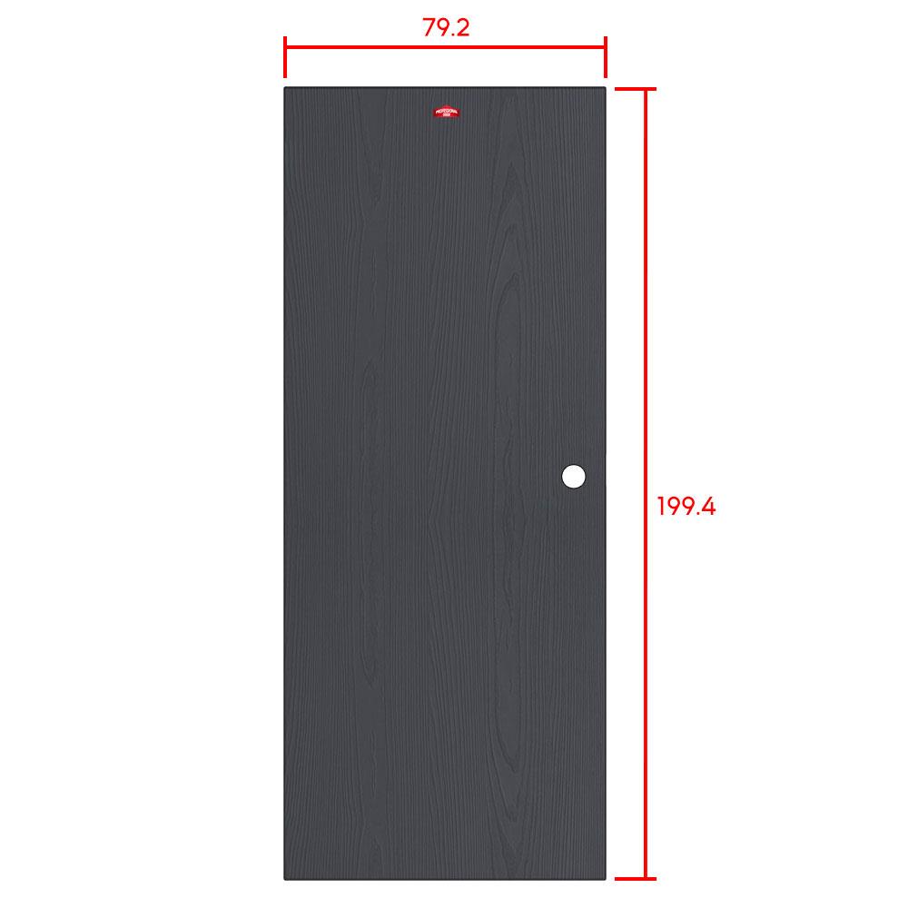 ประตูภายในเหล็ก เจาะลูกบิด PROFESSIONAL DOOR WD1BK 79.2x199.4 ซม. สีเทาเม็ดทราย