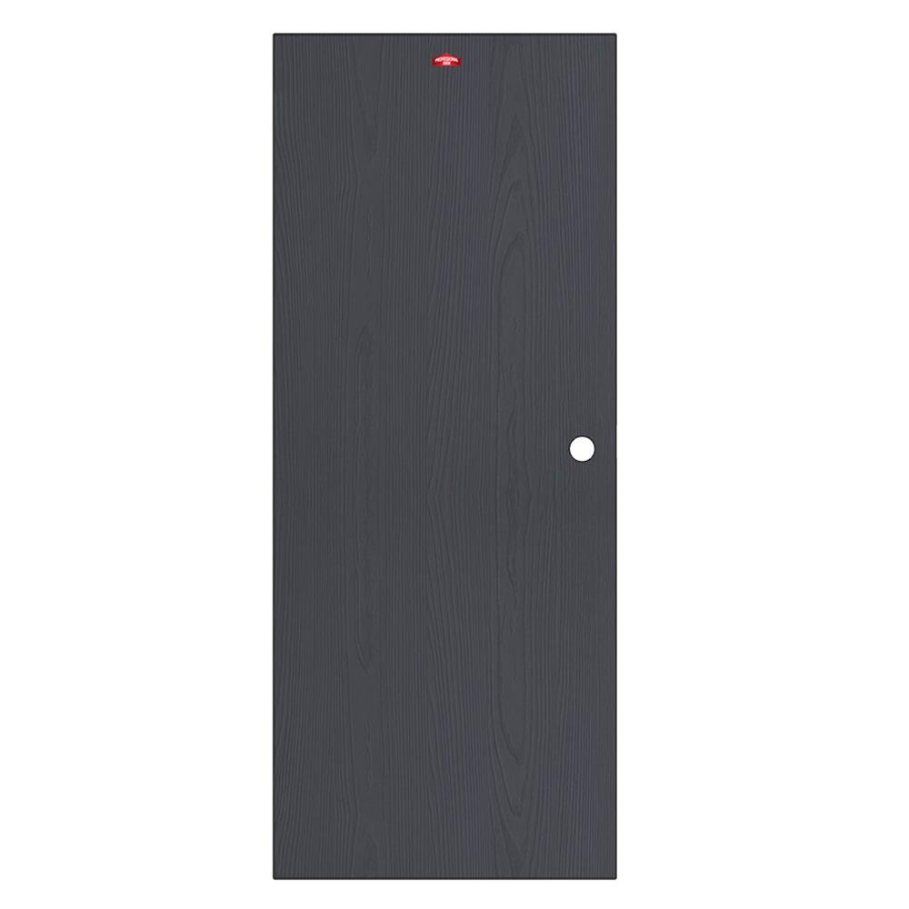 ประตูภายนอกเหล็ก เจาะลูกบิด PROFESSIONAL DOOR WD1BK 79.2x199.4 สีเทาเม็ดทราย